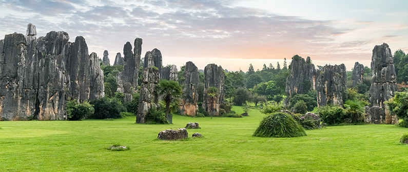 Visit the ancient Stone Forest, a UNESCO world heritage site located just outside Kunming and its thousands of limestone rock formations pressing upward from the earth.